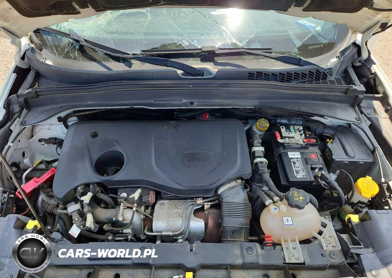2019 Jeep Renegade Trailhawk VIN:ZACNJBC12KPK32256 - 12