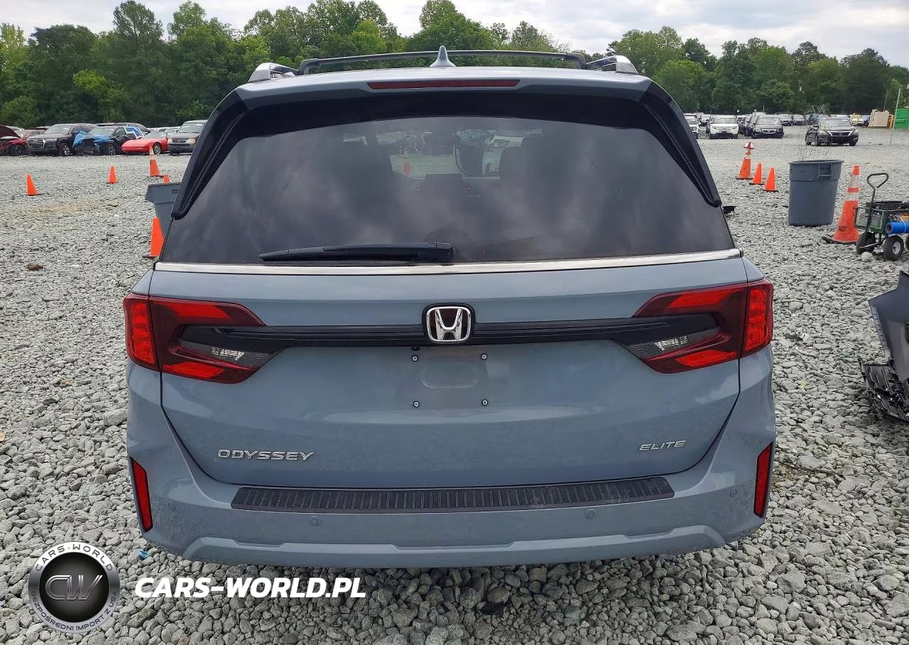 2025 Honda Odyssey Elite VIN:5FNRL6H99SB019008 - 6
