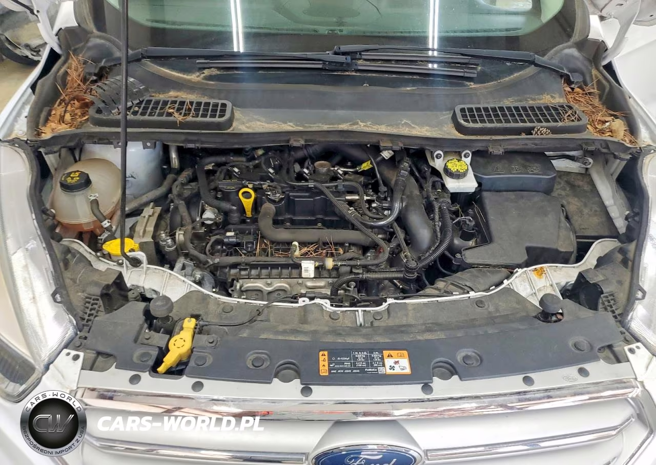 2019 Ford Escape Se VIN:1FMCU0GD8KUA88569 - 12