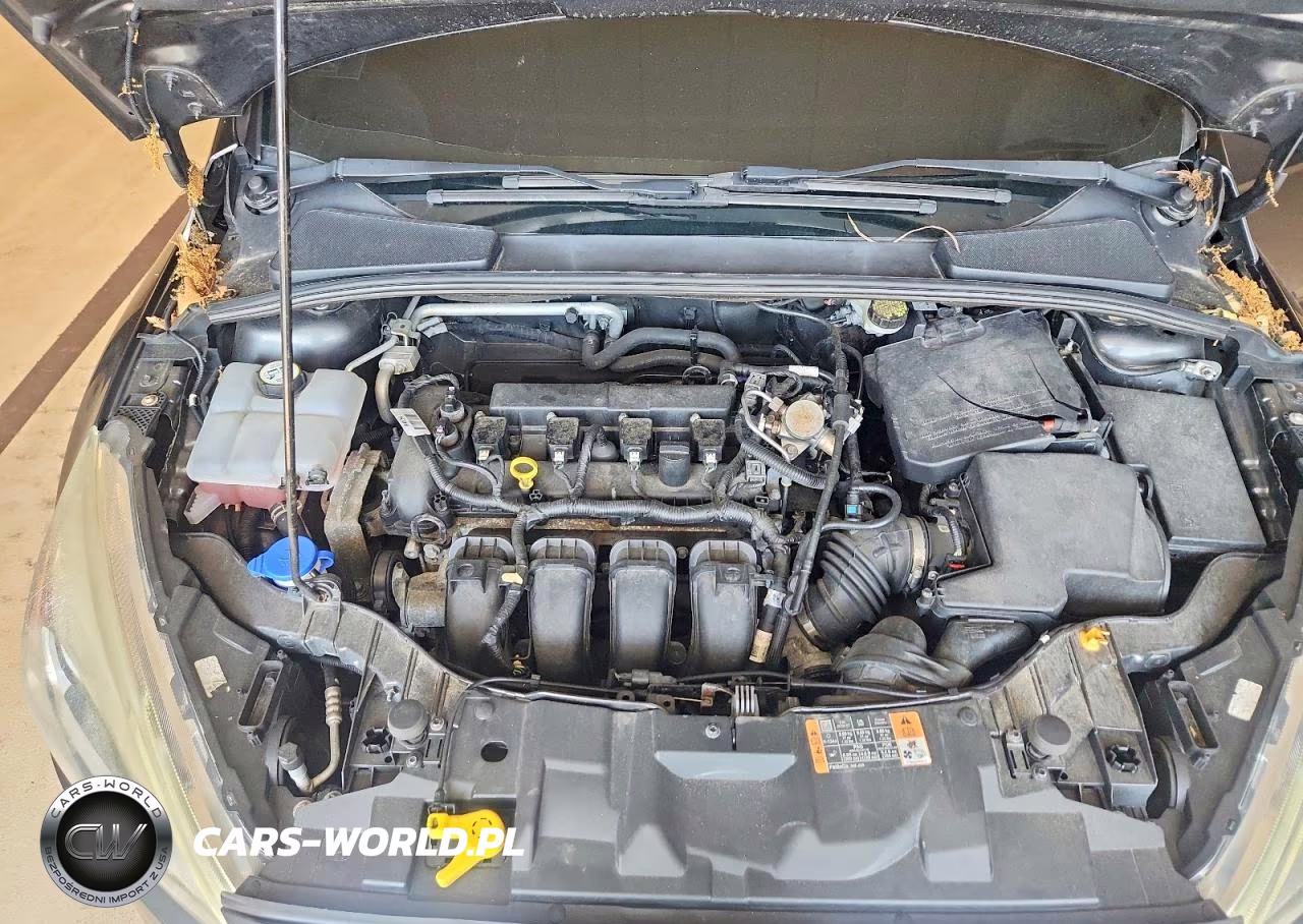 2016 Ford Focus Titanium VIN:1FADP3N25GL330451 - 11