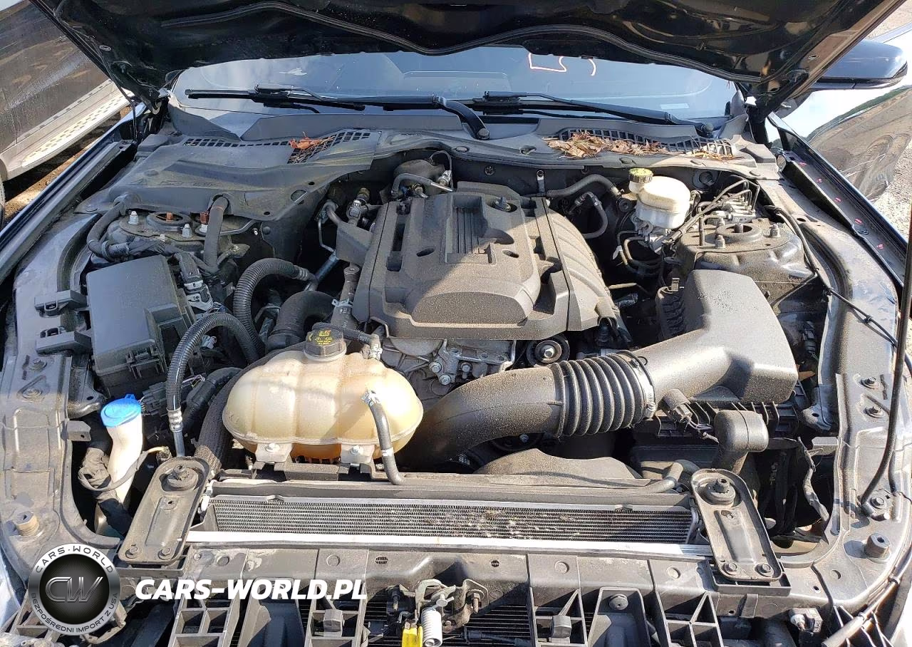 2020 Ford Mustang VIN:1FA6P8TH0L5184018 - 11