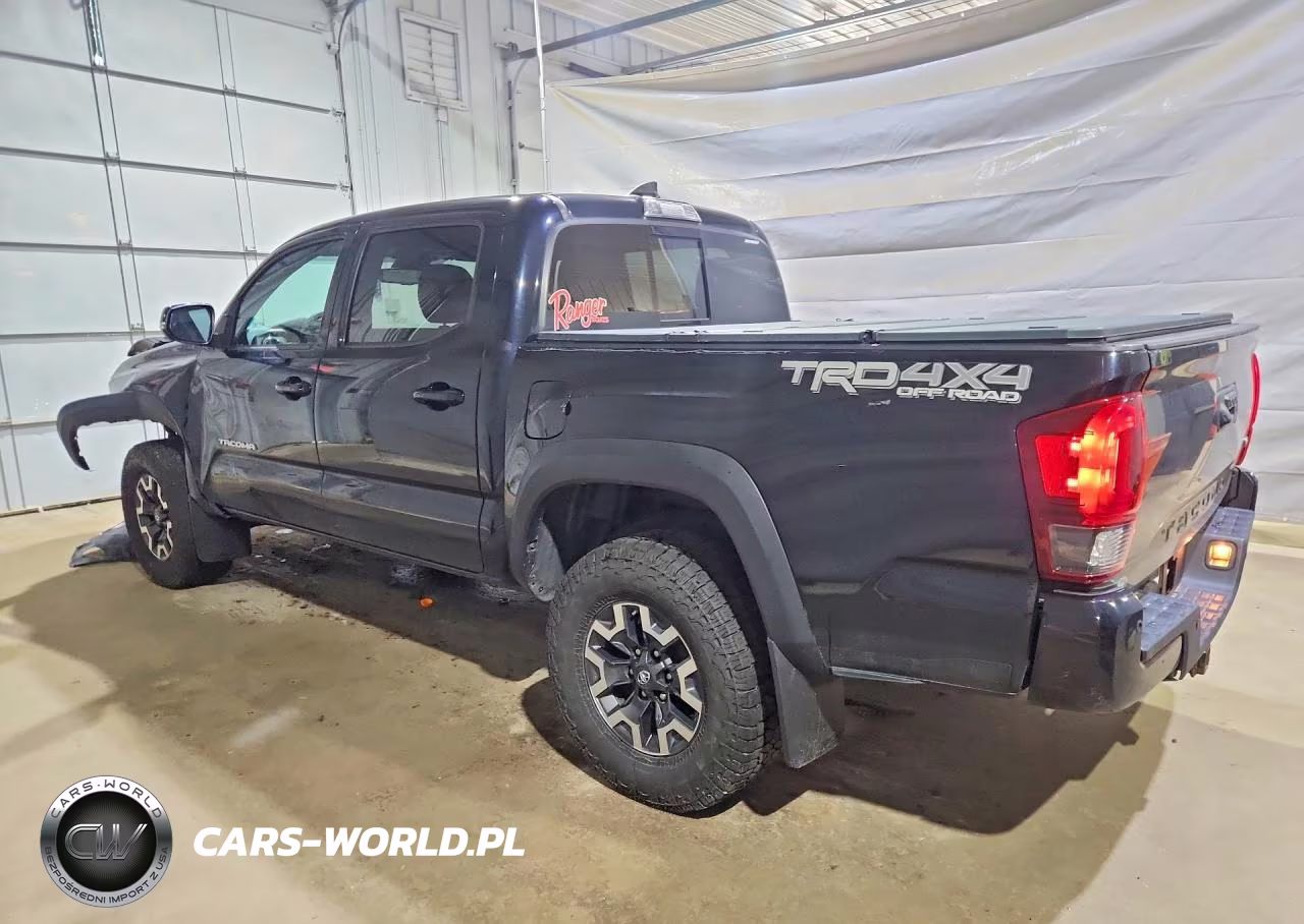 2019 Toyota Tacoma Trd Off-Road VIN:3TMCZ5ANXKM265132 - 2