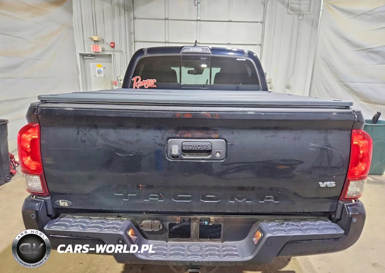 2019 Toyota Tacoma Trd Off-Road VIN:3TMCZ5ANXKM265132 - 6
