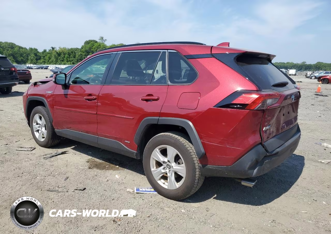 2019 Toyota Rav4 Xle VIN:JTMRWRFV2KD027130 - 2