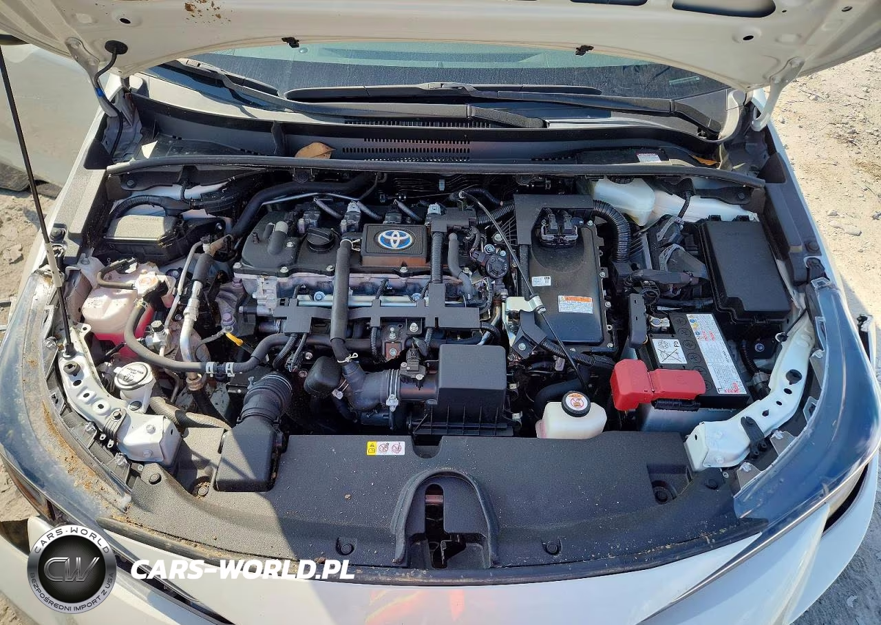 2021 Toyota Corolla Le VIN:JTDEAMDE6MJ033052 - 11