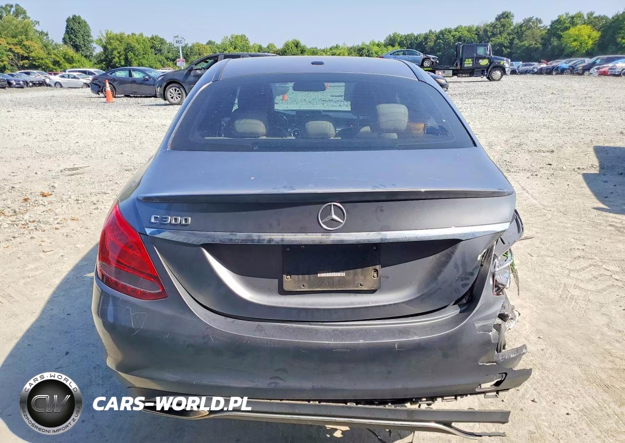 2018 Mercedes-Benz C 300 VIN:55SWF4JB8JU241418 - 6