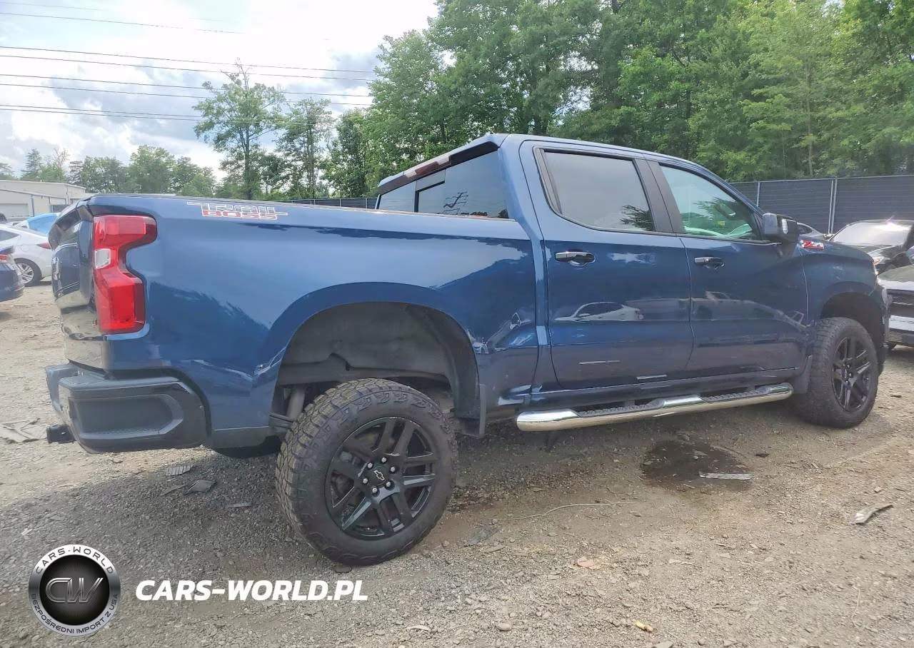2021 Chevrolet Silverado K1500 Lt Trail Boss VIN:3GCPYFED9MG304189 - 3