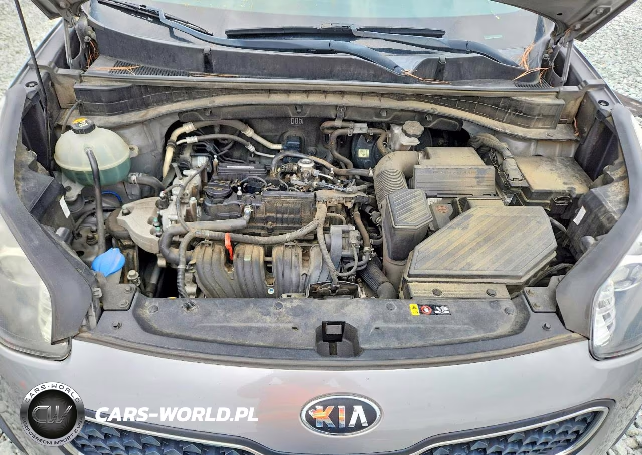 2019 Kia Sportage Lx VIN:KNDPM3AC7K7625941 - 12
