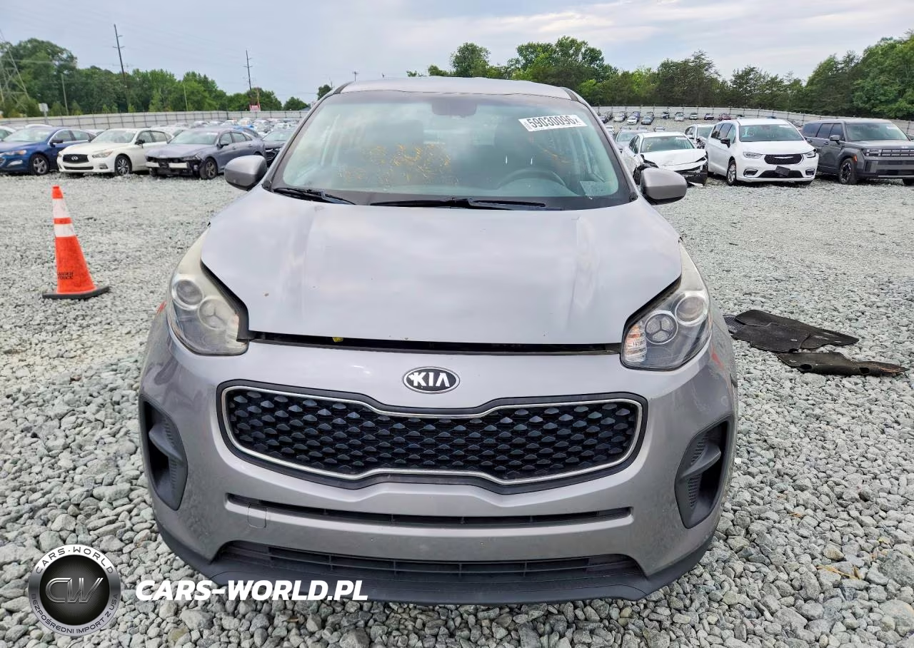 2019 Kia Sportage Lx VIN:KNDPM3AC7K7625941 - 5