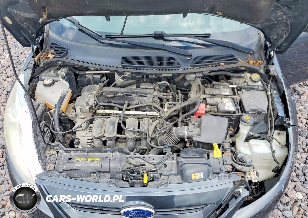 2011 Ford Fiesta Se VIN:3FADP4EJ6BM171184 - 11