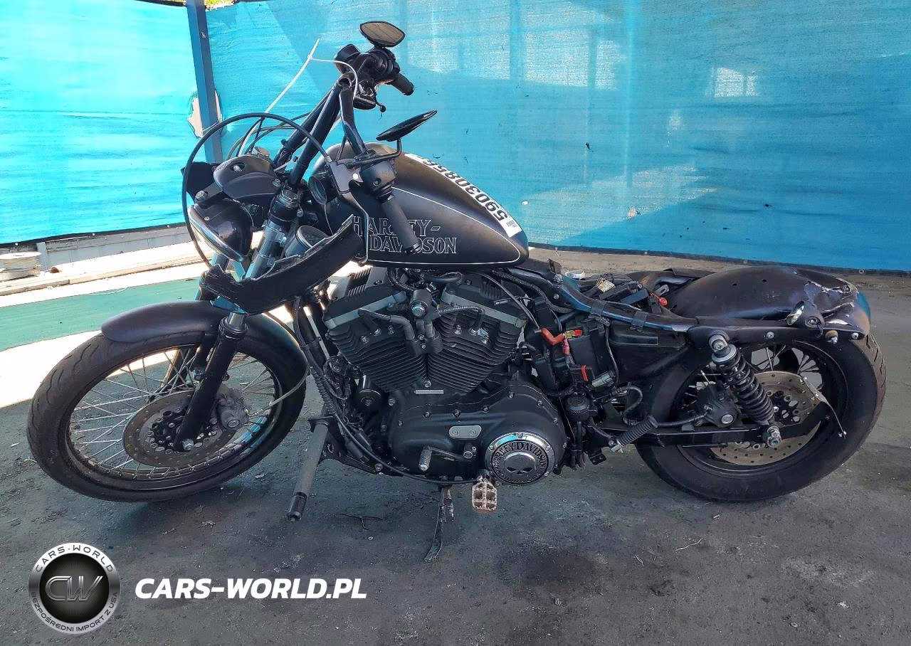 2010 Other Xl883 VIN:1HD4LE23XAC414382 - 3