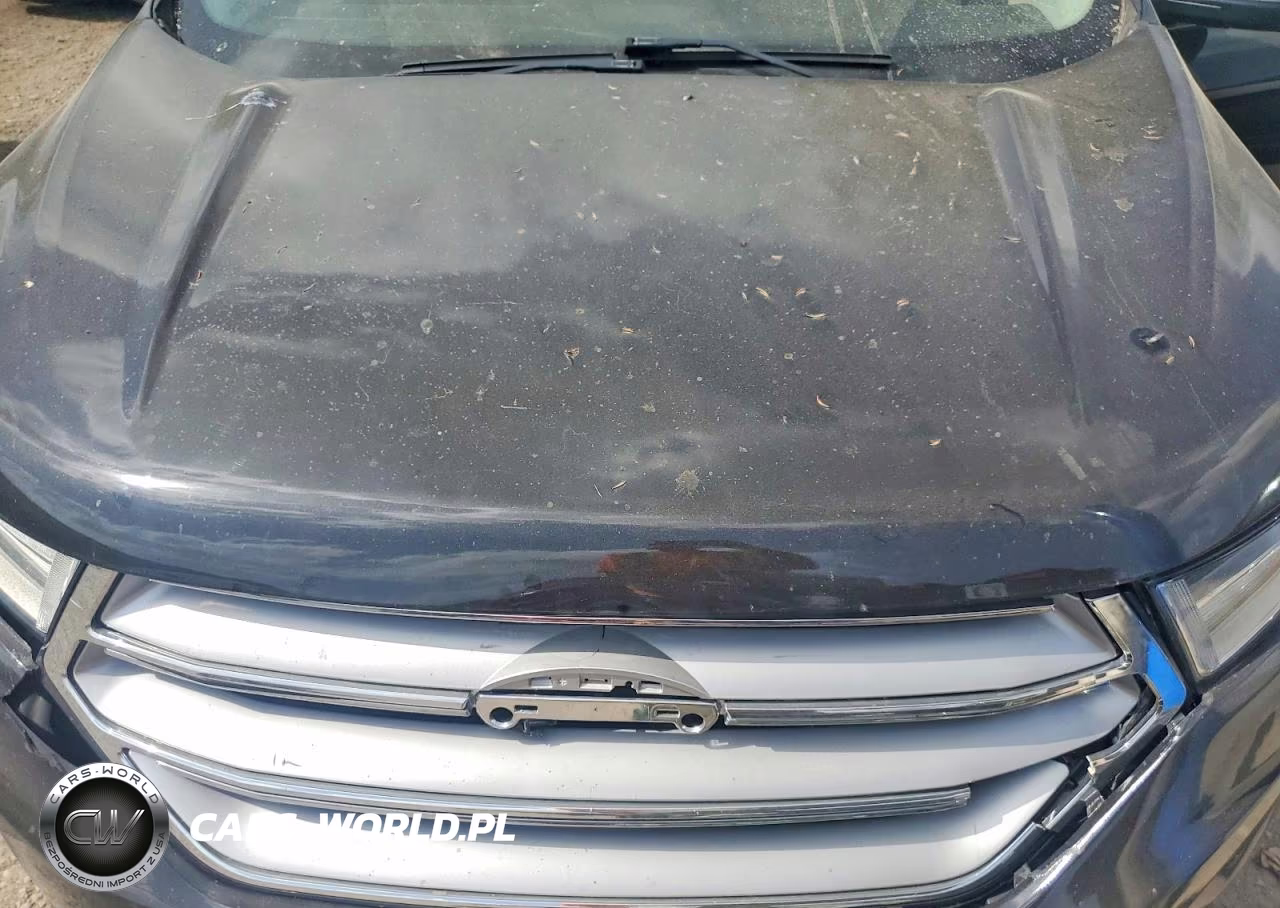 FORD EDGE SEL VIN:2FMPK3J88HBB82616 - 12