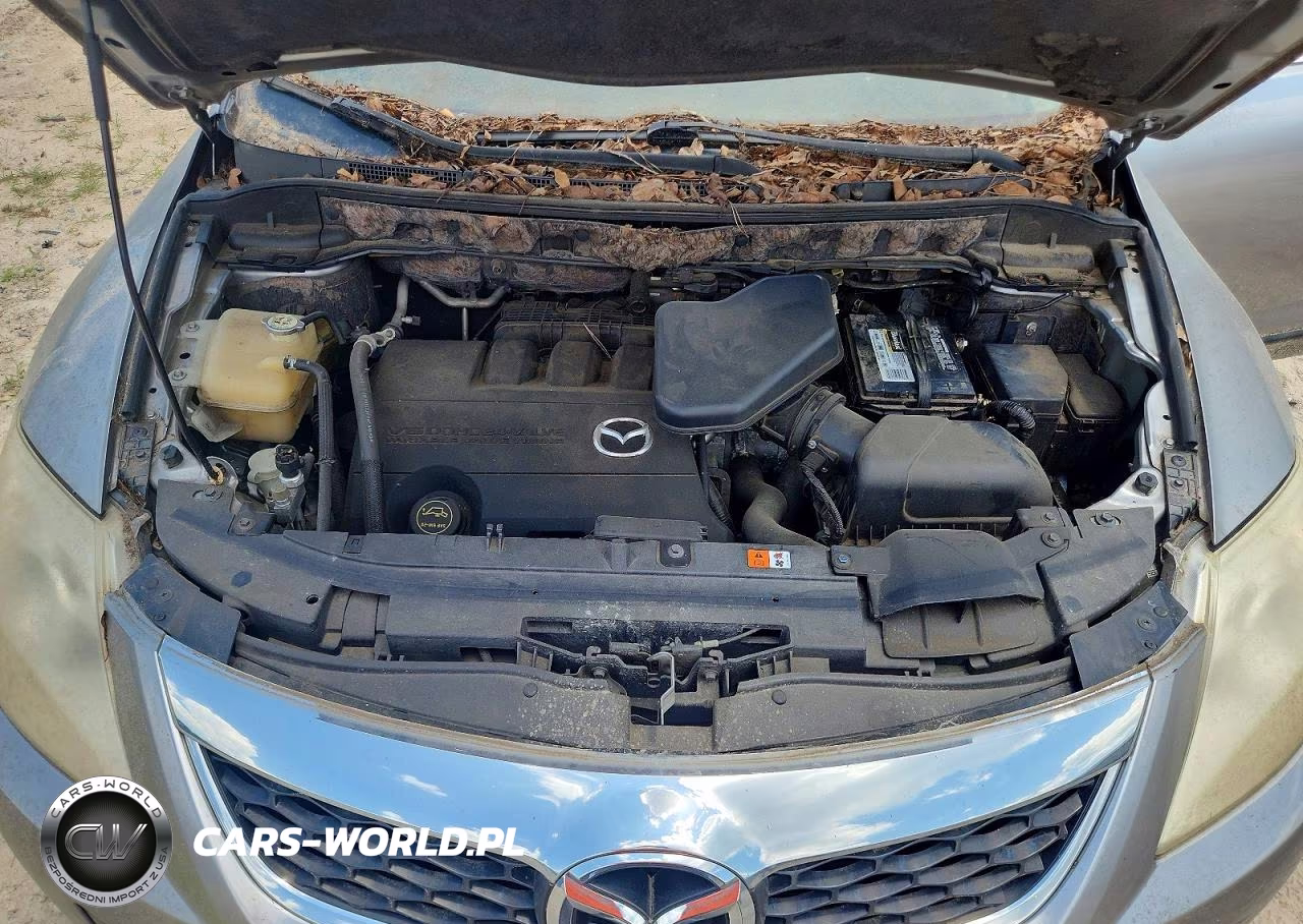 2011 Mazda Cx-9 VIN:JM3TB2CAXB0331847 - 11