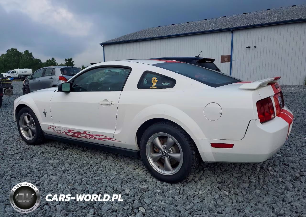 2006 Ford Mustang VIN:1ZVFT80N665207044 - 2