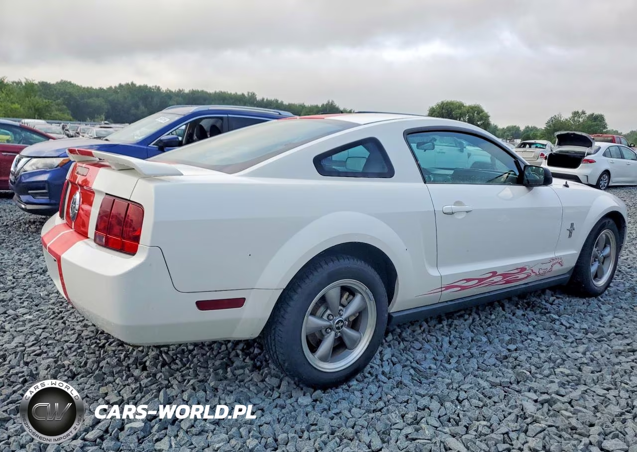 2006 Ford Mustang VIN:1ZVFT80N665207044 - 3