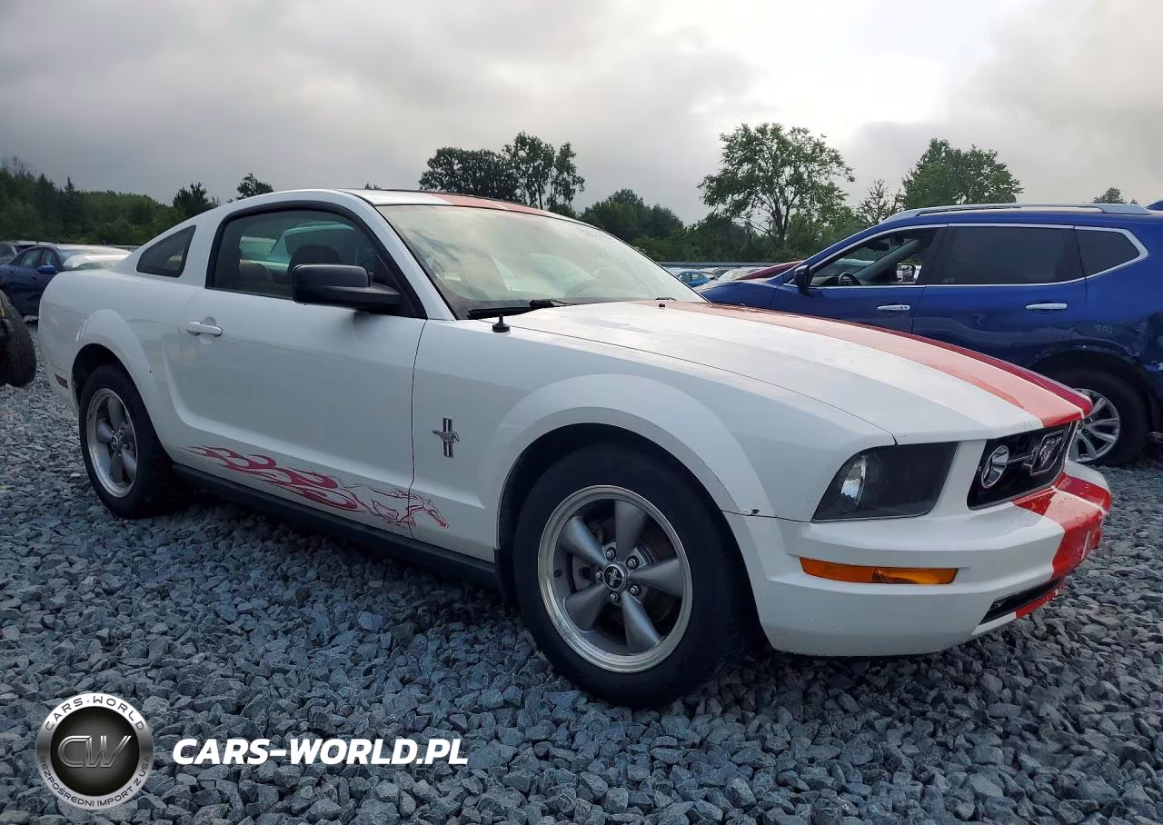 2006 Ford Mustang VIN:1ZVFT80N665207044 - 4