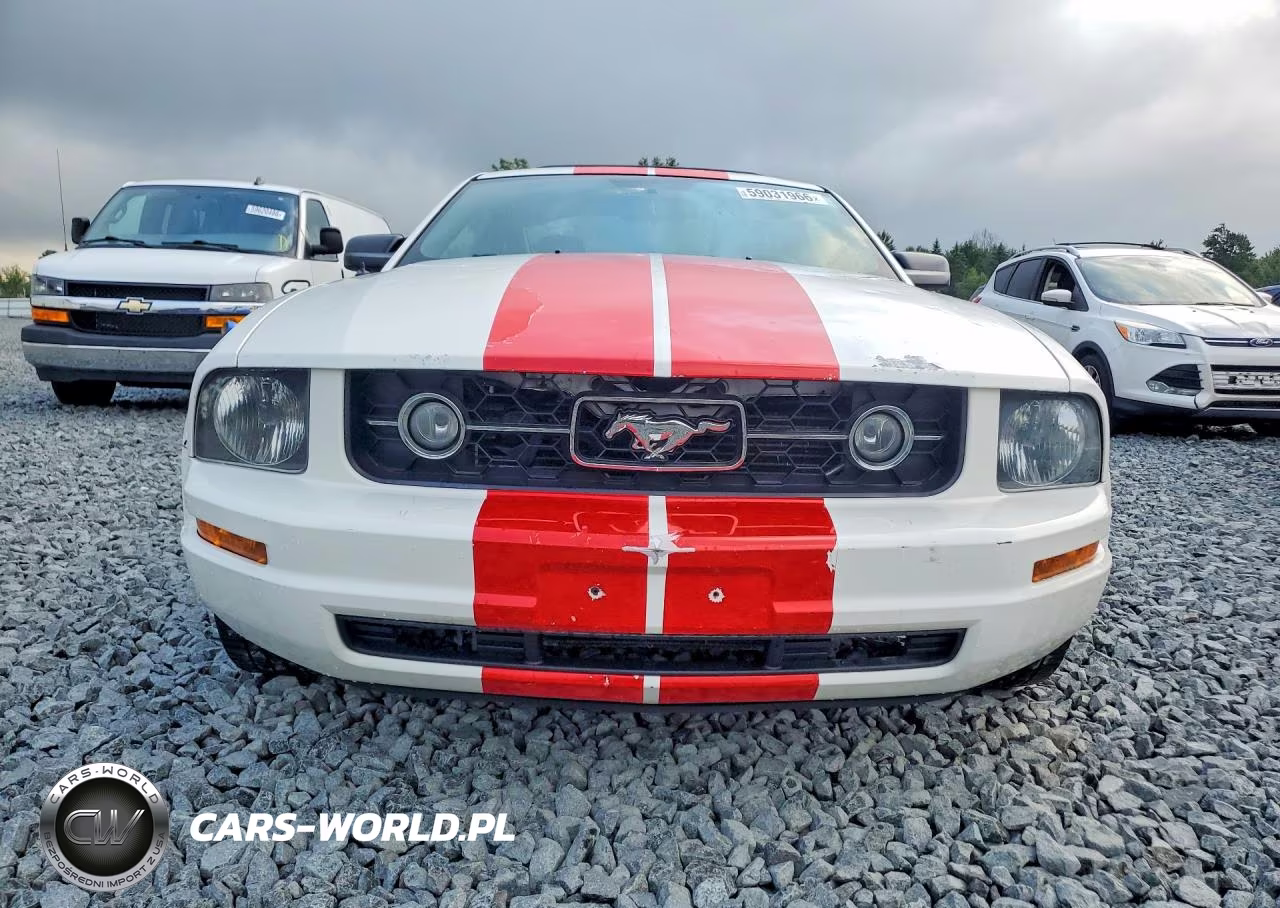 2006 Ford Mustang VIN:1ZVFT80N665207044 - 5