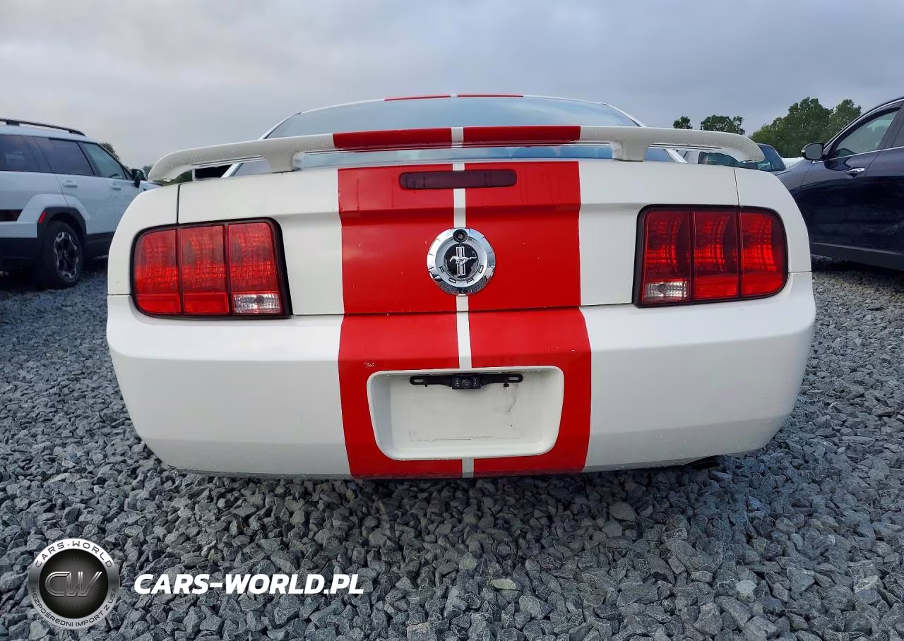 2006 Ford Mustang VIN:1ZVFT80N665207044 - 6
