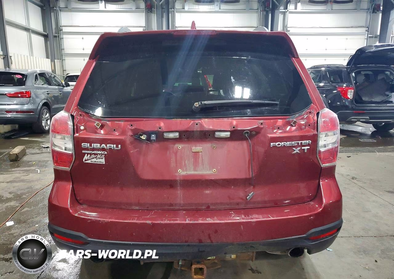 2016 Subaru Forester 2.0Xt Premium VIN:JF2SJGDC9GH492818 - 6