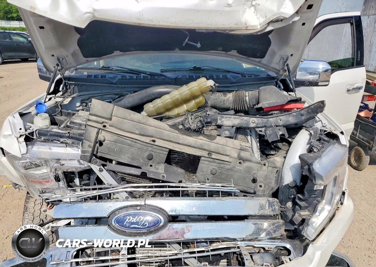 2019 Ford F150 Supercrew VIN:1FTEW1E48KFD45220 - 11