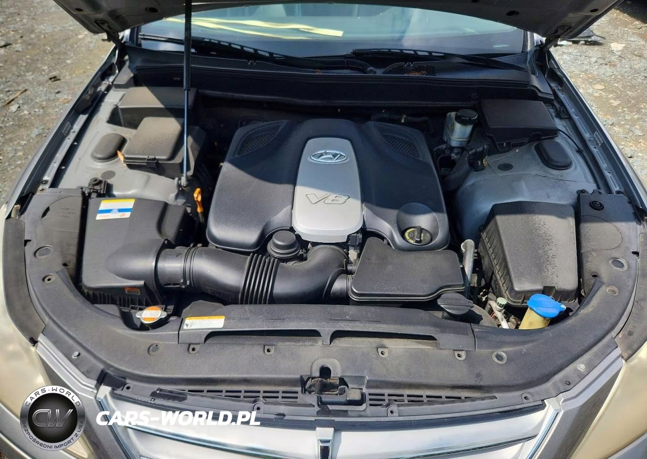2011 Hyundai Genesis 4.6L VIN:KMHGC4DF0BU133019 - 11