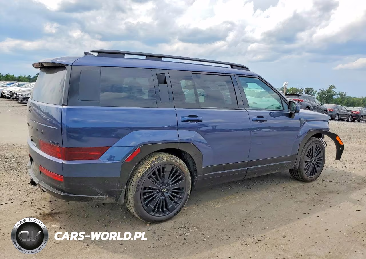 2025 Hyundai Santa Fe Calligraphy VIN:5NMP5DG1XSH040501 - 3