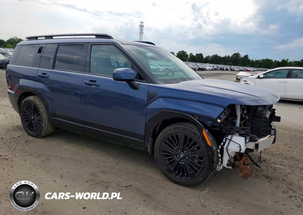 2025 Hyundai Santa Fe Calligraphy VIN:5NMP5DG1XSH040501 - 4