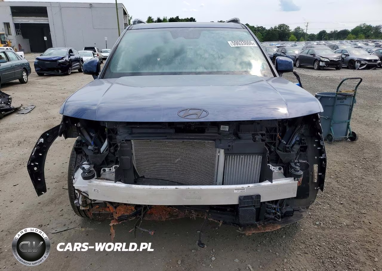 2025 Hyundai Santa Fe Calligraphy VIN:5NMP5DG1XSH040501 - 5