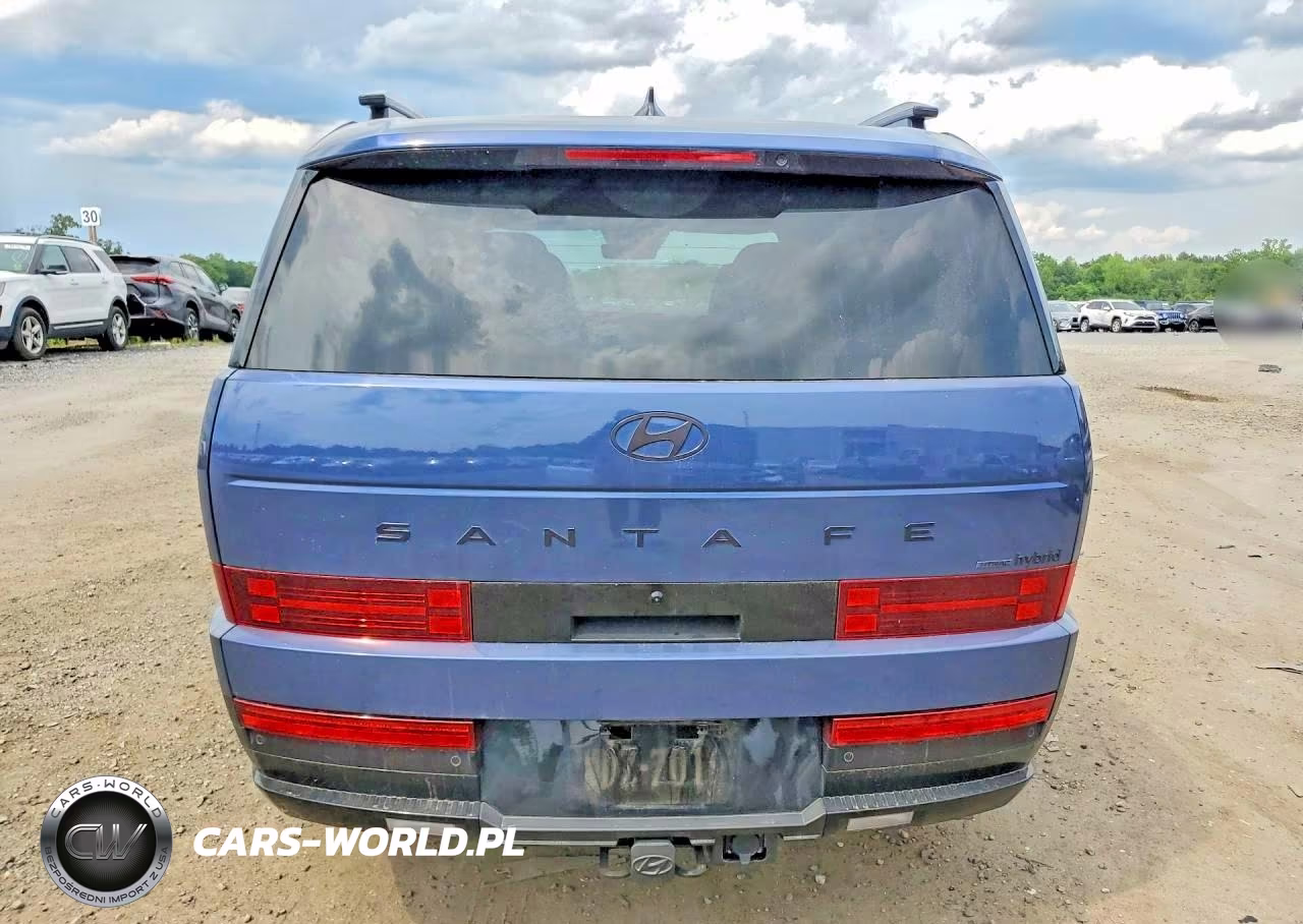 2025 Hyundai Santa Fe Calligraphy VIN:5NMP5DG1XSH040501 - 6