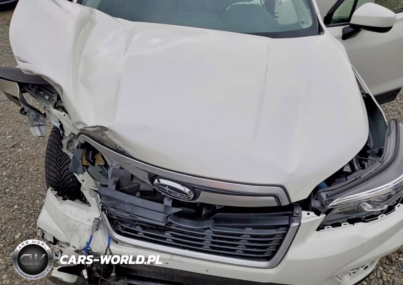 2019 Subaru Forester Premium VIN:JF2SKAEC0KH502220 - 12