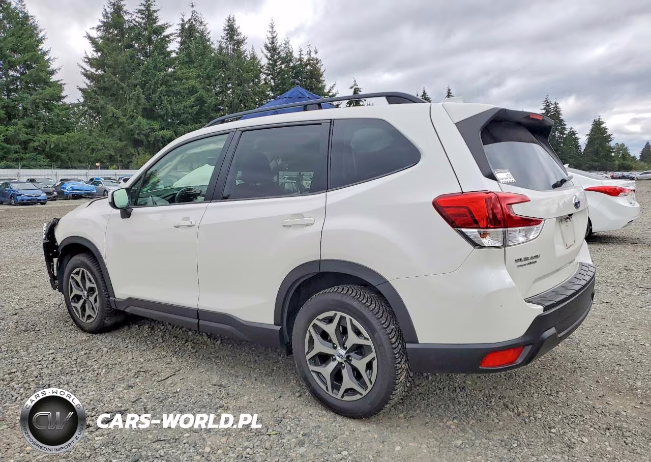 2019 Subaru Forester Premium VIN:JF2SKAEC0KH502220 - 2