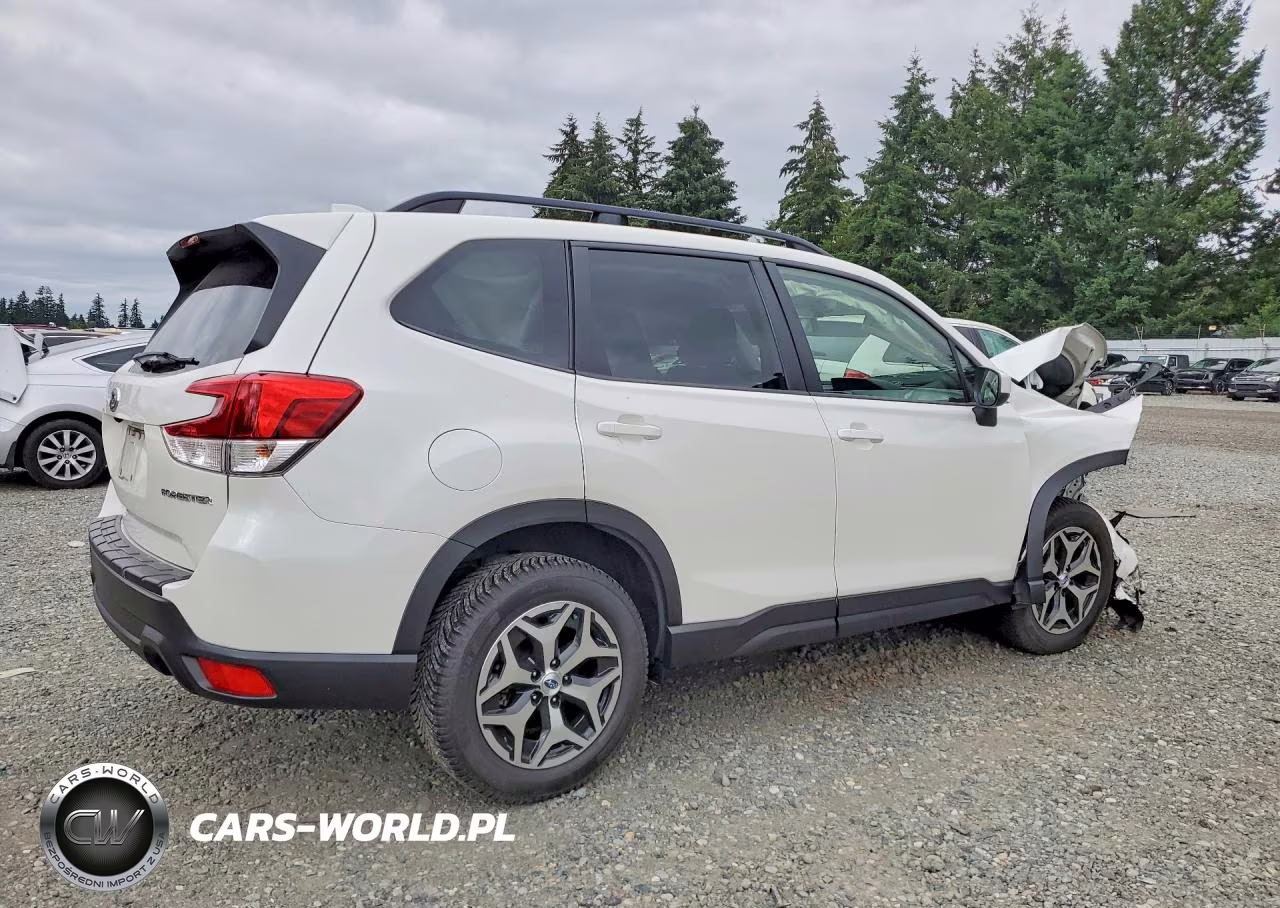 2019 Subaru Forester Premium VIN:JF2SKAEC0KH502220 - 3