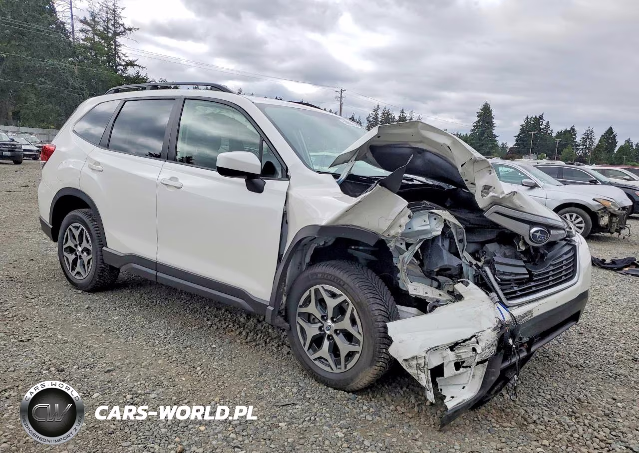 2019 Subaru Forester Premium VIN:JF2SKAEC0KH502220 - 4