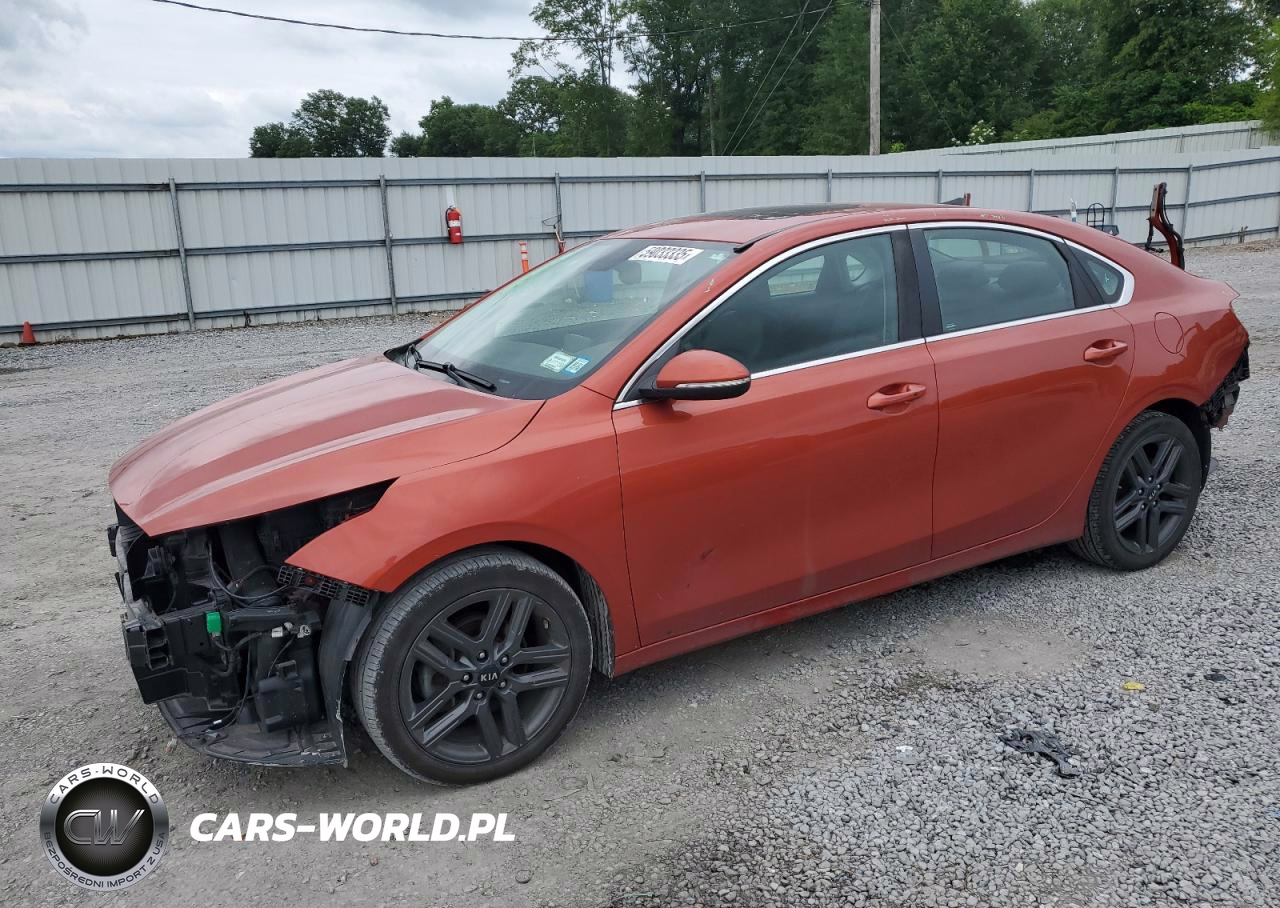 2019 Kia Forte Ex