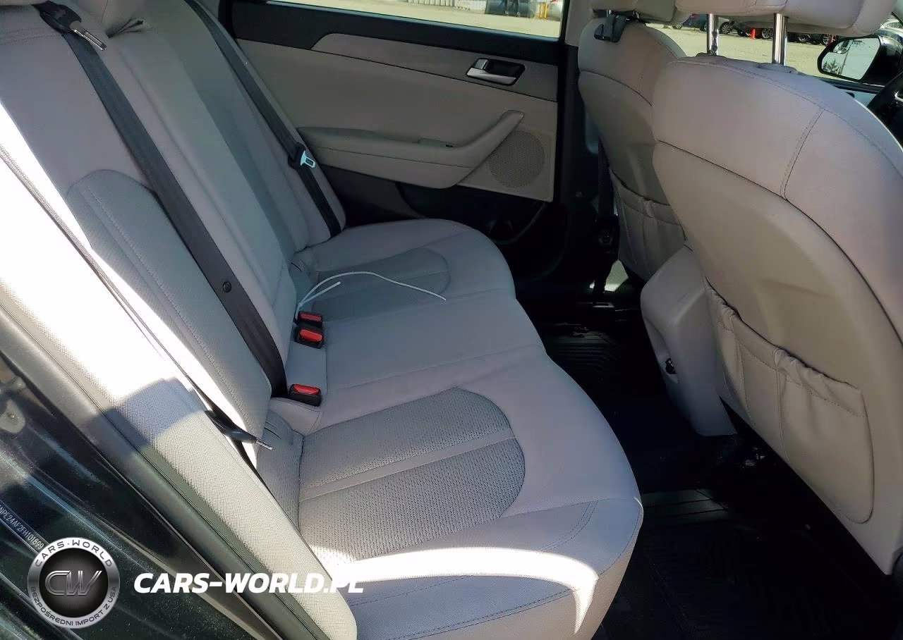 2015 Hyundai Sonata Se VIN:5NPE24AF2FH101899 - 10