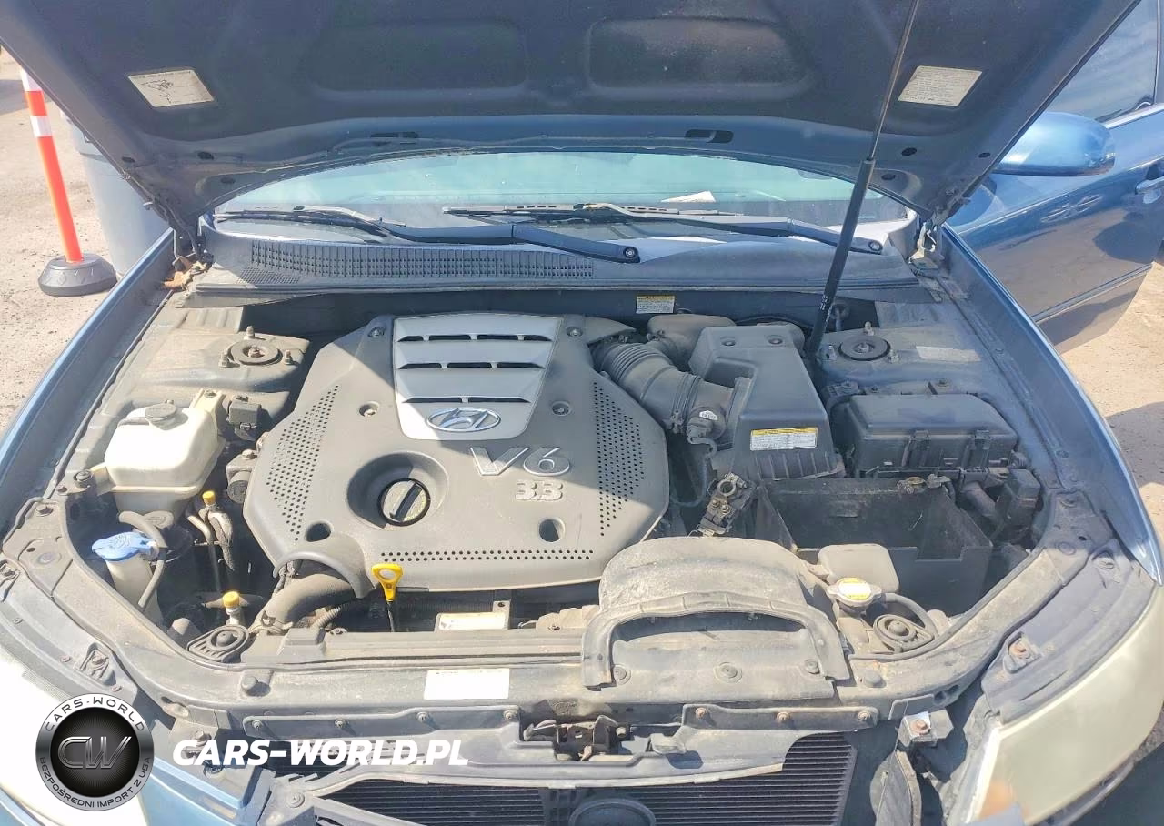 2006 Hyundai Sonata Gls V6 VIN:5NPEU46F46H041062 - 21