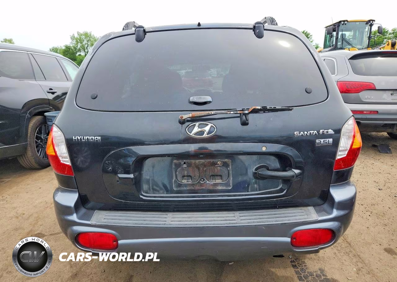 2004 Hyundai Santa Fe Gls VIN:KM8SC13E04U633976 - 11