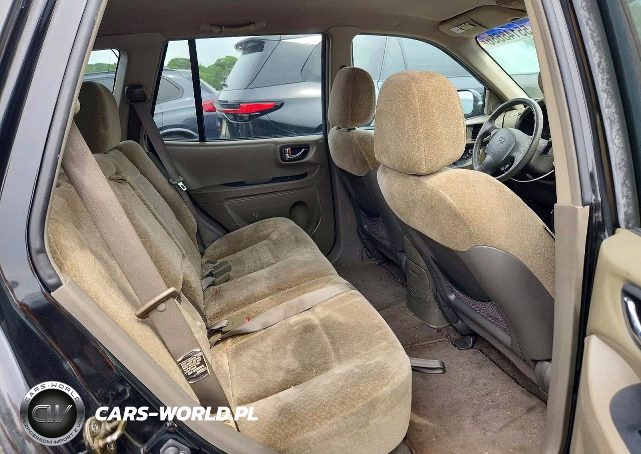 2004 Hyundai Santa Fe Gls VIN:KM8SC13E04U633976 - 19