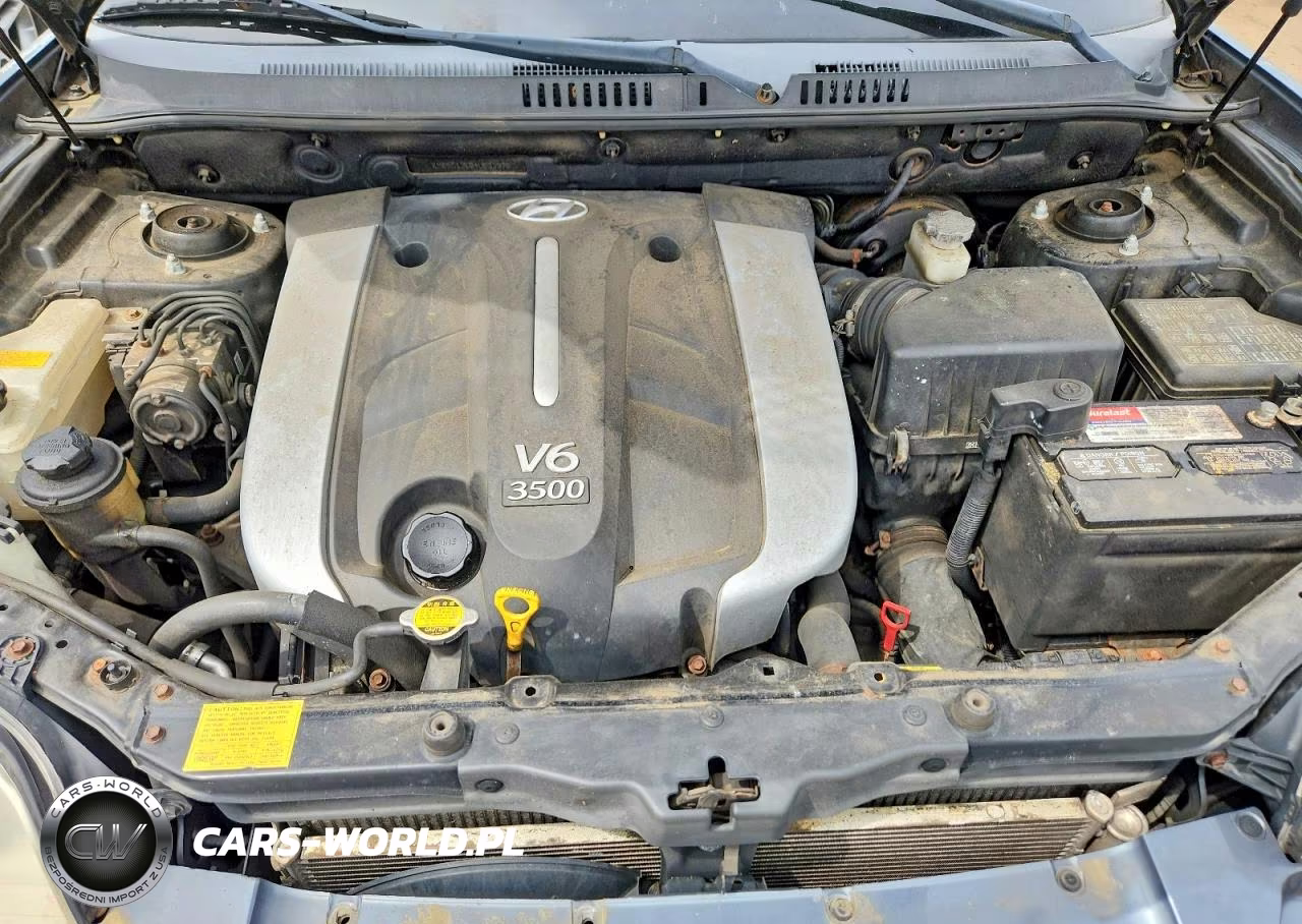 2004 Hyundai Santa Fe Gls VIN:KM8SC13E04U633976 - 22