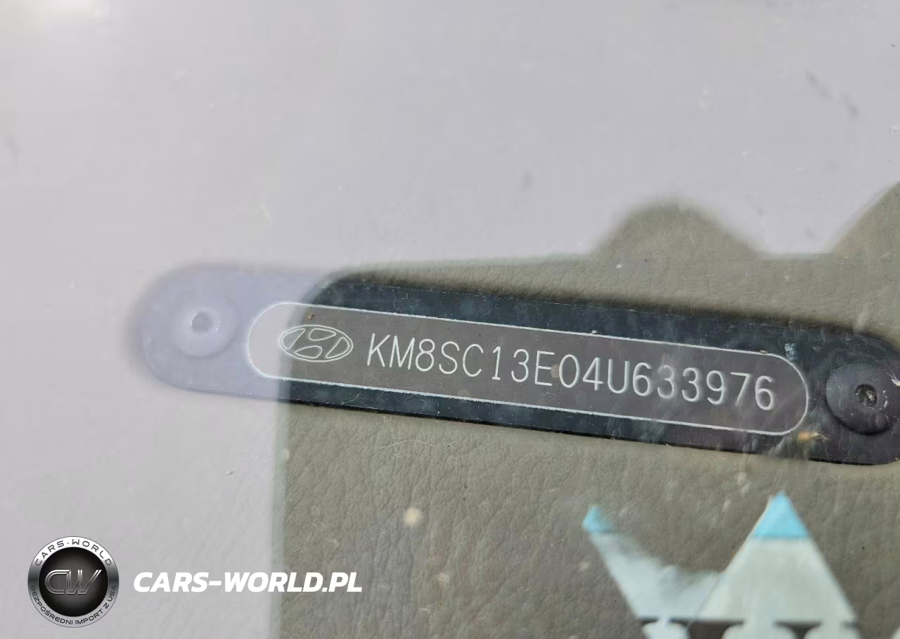 2004 Hyundai Santa Fe Gls VIN:KM8SC13E04U633976 - 24