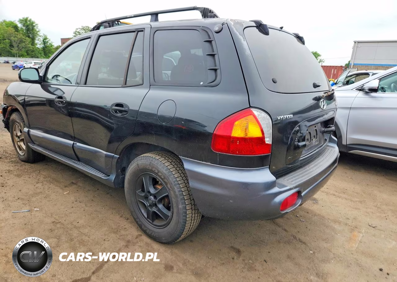 2004 Hyundai Santa Fe Gls VIN:KM8SC13E04U633976 - 4