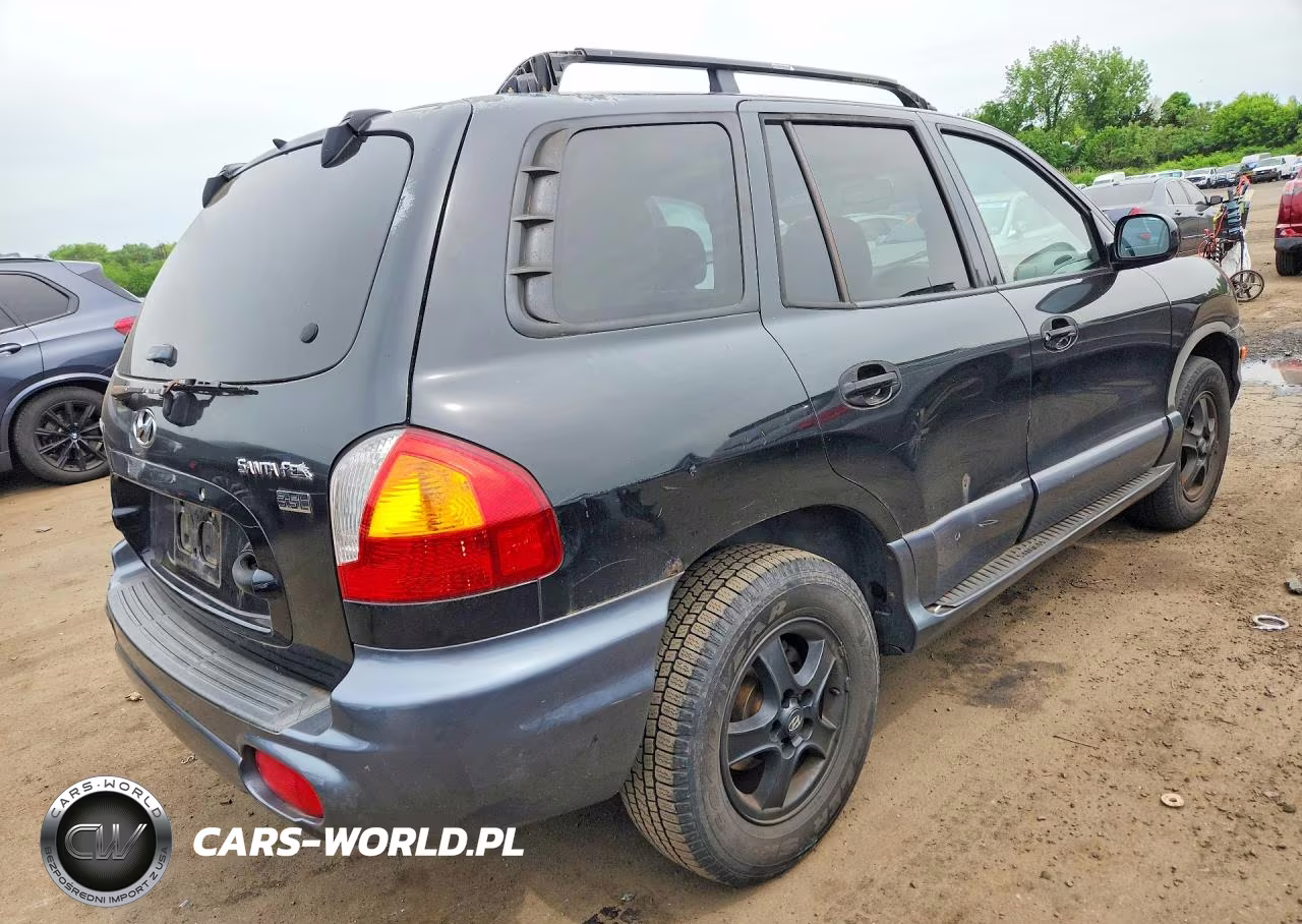 2004 Hyundai Santa Fe Gls VIN:KM8SC13E04U633976 - 5