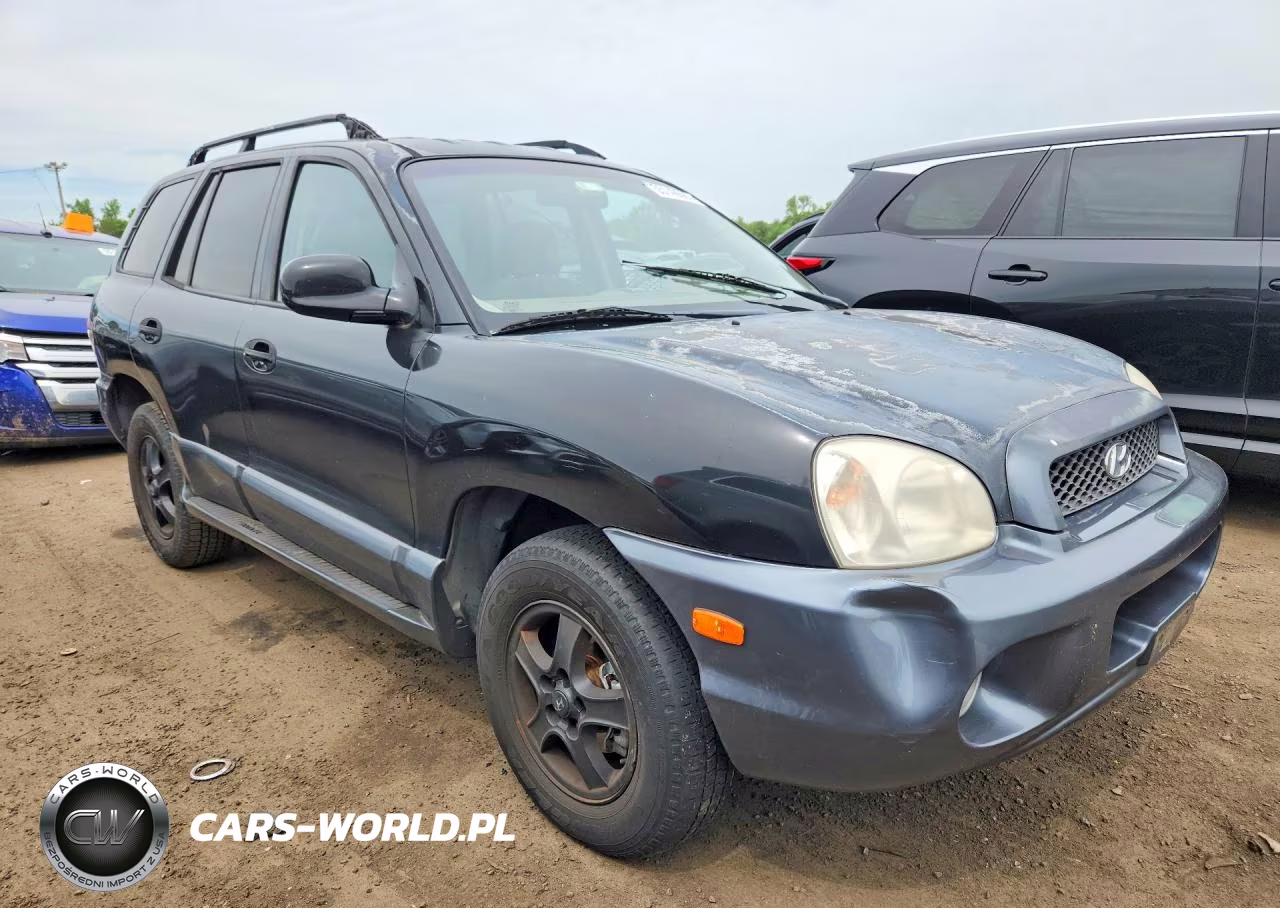 2004 Hyundai Santa Fe Gls VIN:KM8SC13E04U633976 - 7