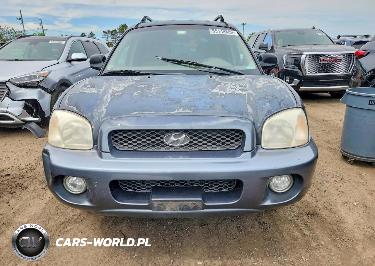 2004 Hyundai Santa Fe Gls VIN:KM8SC13E04U633976 - 9