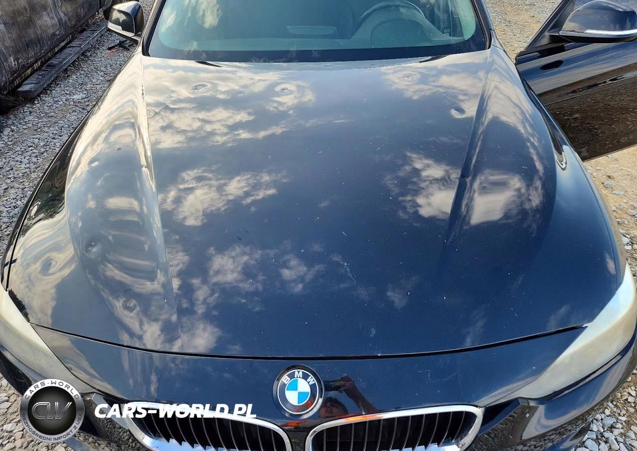 2014 BMW 328 D xDrive VIN:WBA3D5C57EKX96230 - 11