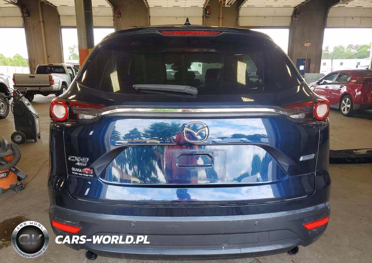 2016 Mazda Cx-9 Touring VIN:JM3TCBCY9G0118454 - 6