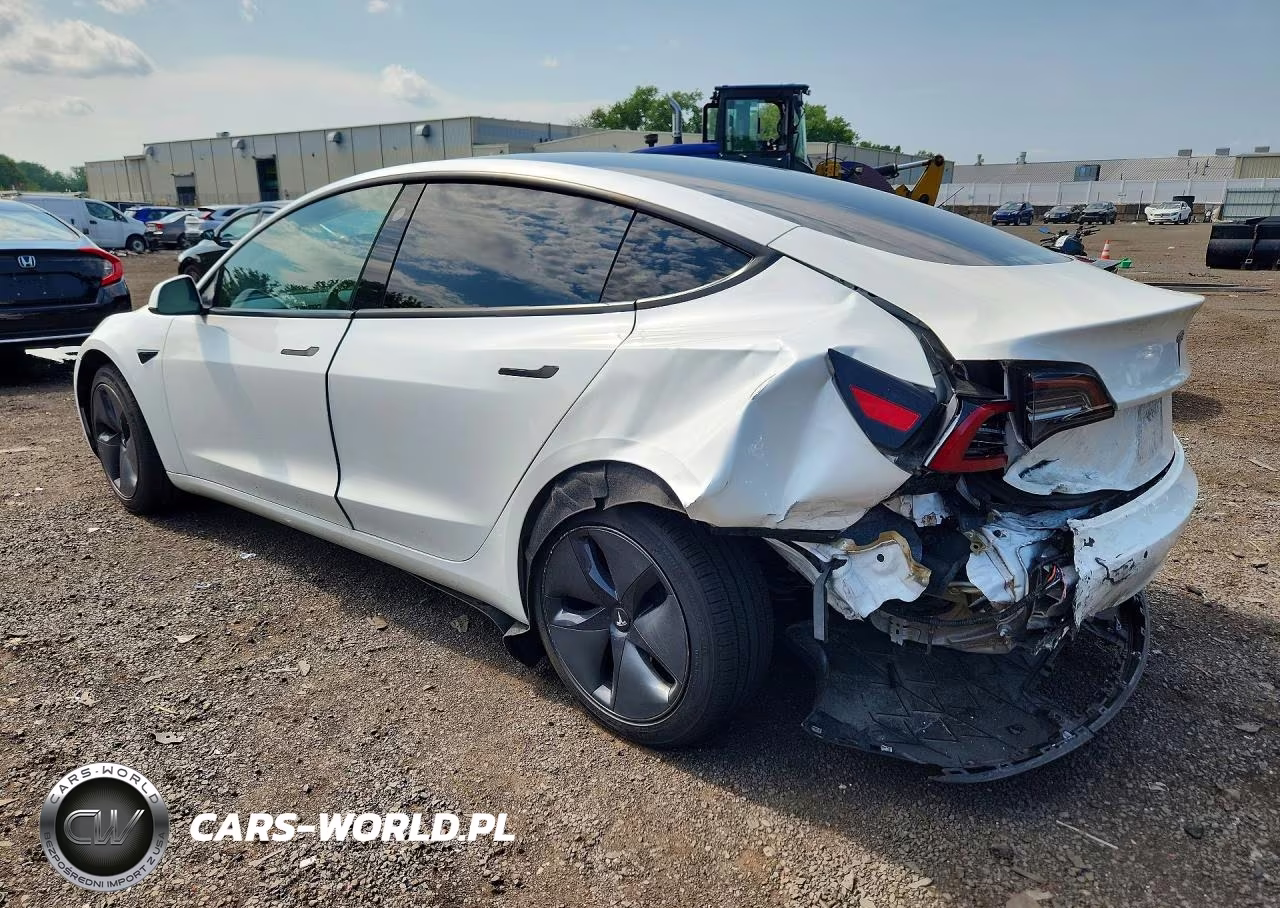 2021 Tesla Model 3 VIN:5YJ3E1EA8MF987606 - 2