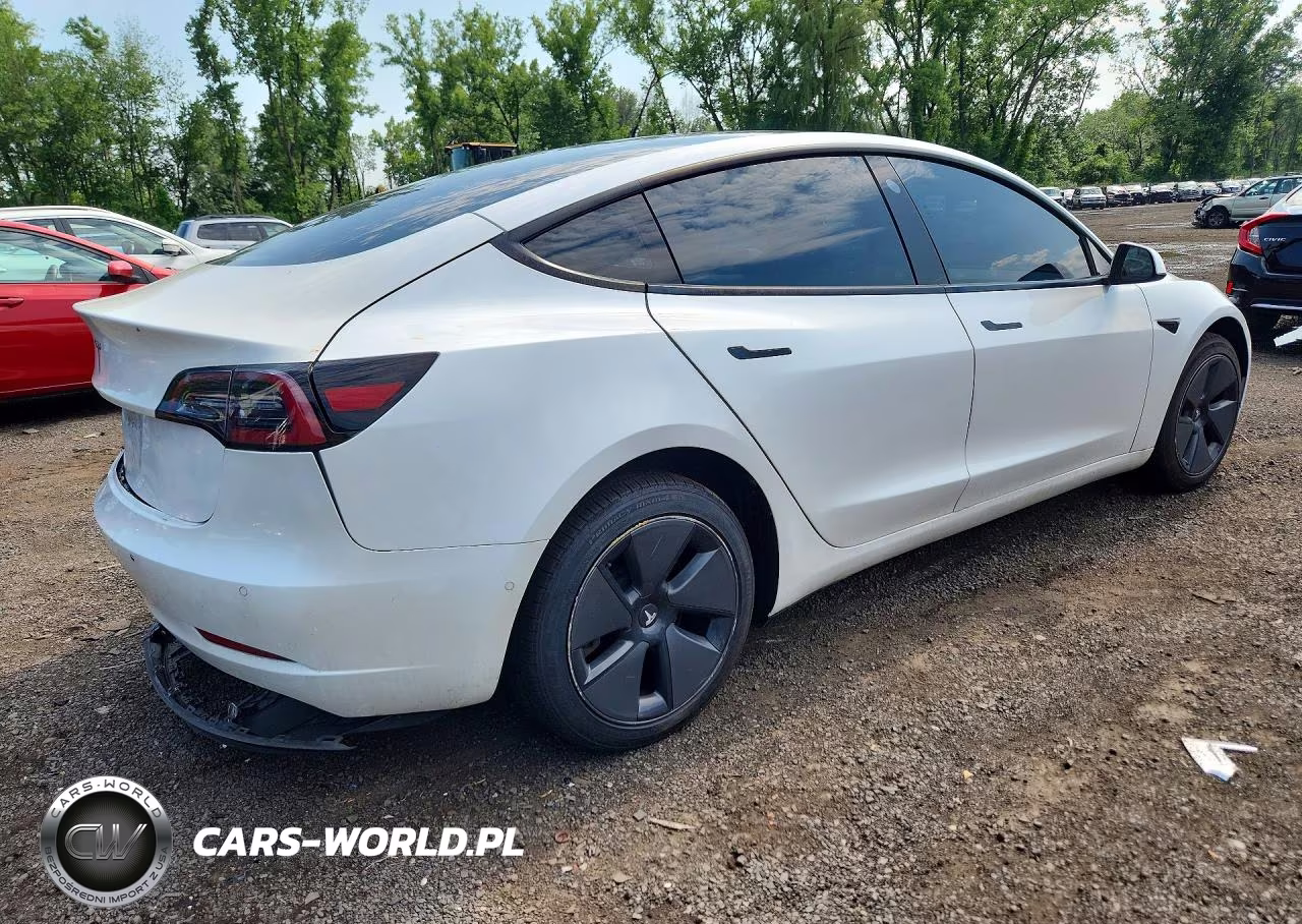 2021 Tesla Model 3 VIN:5YJ3E1EA8MF987606 - 3