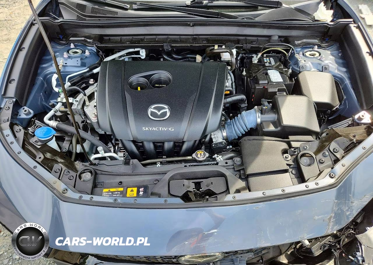2021 Mazda Cx-30 Premium VIN:3MVDMBDL6MM270289 - 12