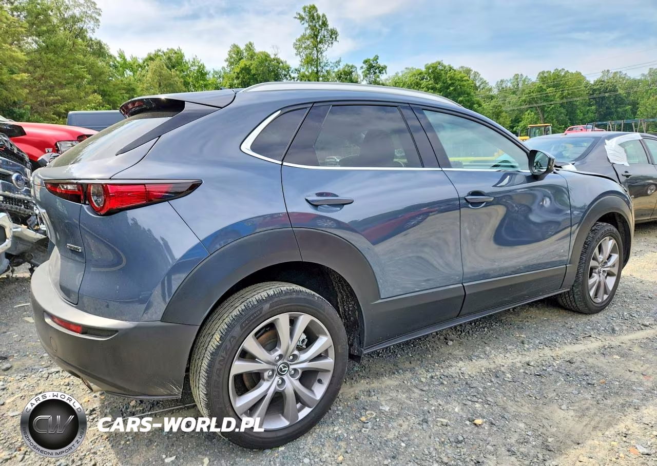 2021 Mazda Cx-30 Premium VIN:3MVDMBDL6MM270289 - 3